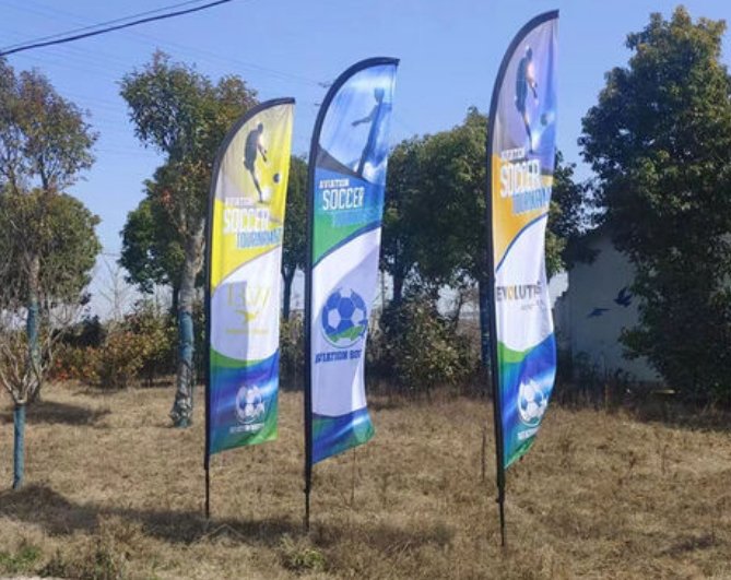 Drapeaux de Plage Promotionnels