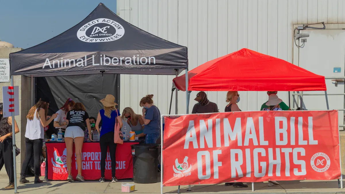 Personnalisation et design des bannières pop-up horizontales personnalisées